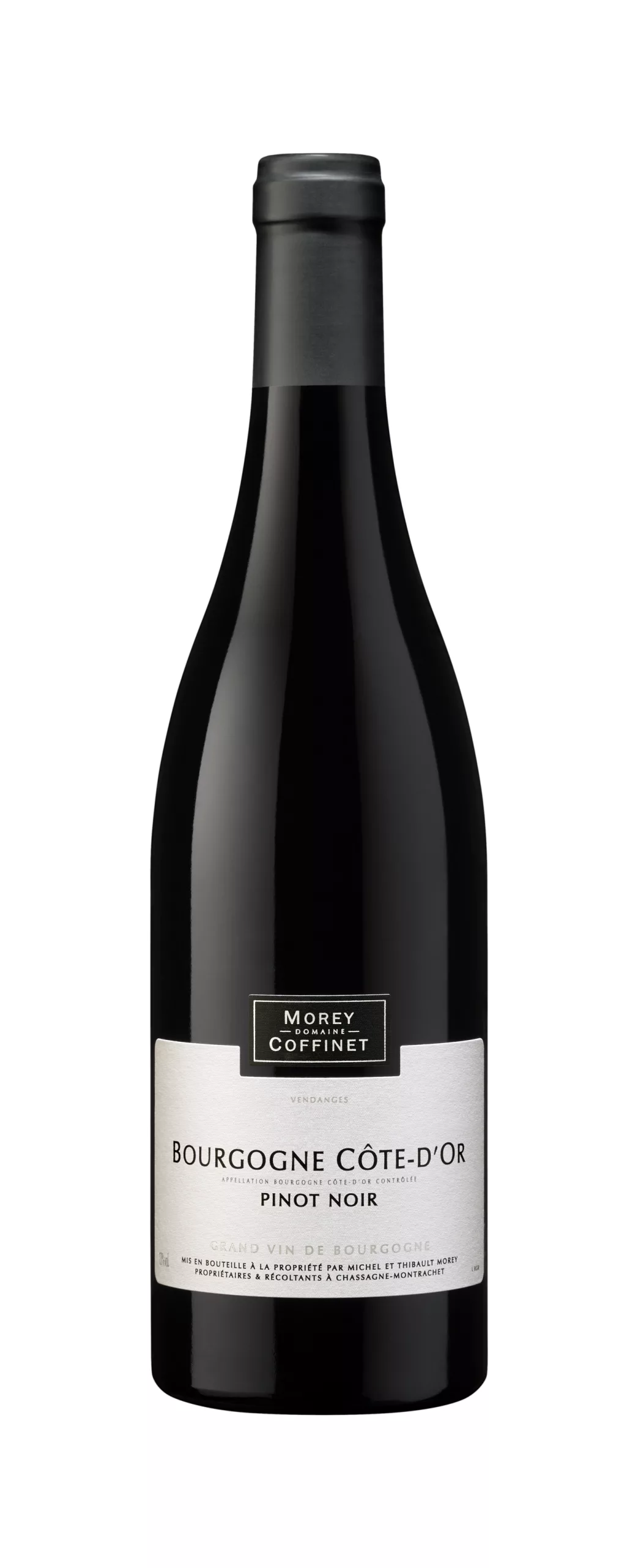 Côte d'Or - Pinot noir