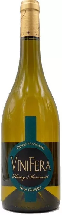 Vinifera Chenin